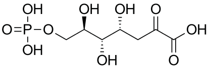3-デオキシ-D-アラビノ-ヘプツロソン酸-7-リン酸の化学構造