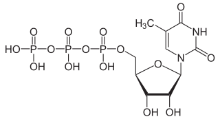 5-メチルウリジン三リン酸（5mUTP）の化学構造