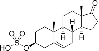 DHEA-Sの化学構造