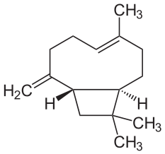 β-カリオフィレンの化学構造