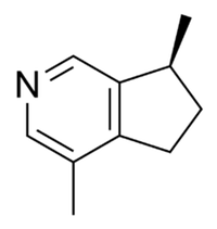 有機化合物のアクチニジン（actinidine）の化学構造