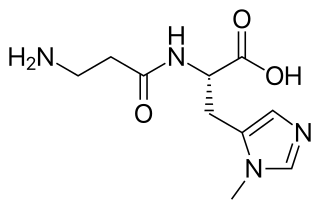 アンセリンの化学構造