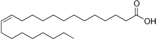 エルカ酸の化学構造