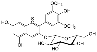 オエニン（マルビジン-3-グルコシド）の化学構造