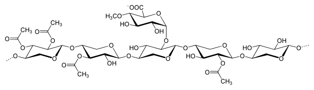 キシランの化学構造