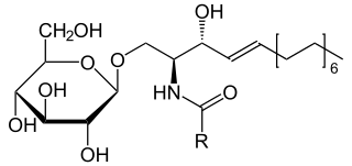 β-D-グルコシルセラミドの化学構造