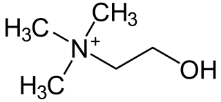 コリンの化学構造