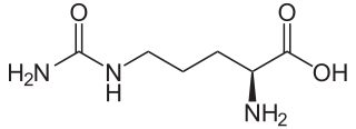 L-シトルリンの化学構造
