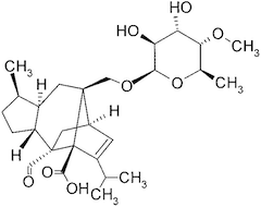 ソルダリンの化学構造