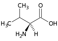 バリンの化学構造