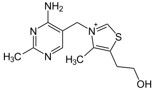 ビタミンB1（チアミン）の化学構造