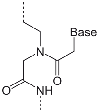 PNA（単量体）の化学構造