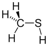 メチルメルカプタン（メタンチオール）の化学構造