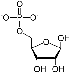 リボース-5-リン酸の化学構造