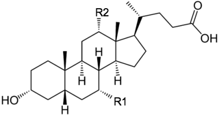 胆汁酸に共通する化学構造
