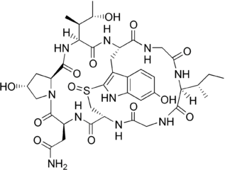 γ-アマニチンの化学構造