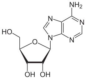 アデノシンの化学構造