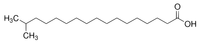 イソステアリン酸の化学構造