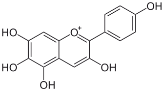 オーランチニジンの化学構造