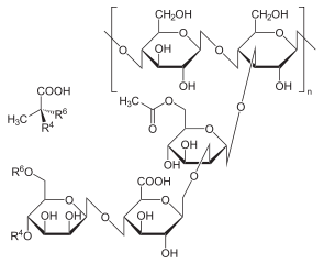 キサンタンガムの化学構造