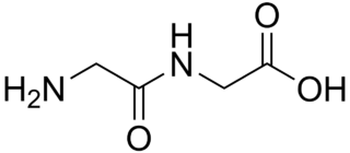 グリシルグリシンの化学構造