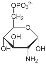 D-グルコサミン-6-リン酸の化学構造