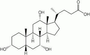 コール酸の化学構造