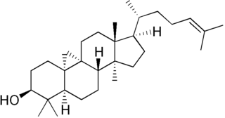 シクロアルテノールの化学構造