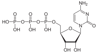 シチジン三リン酸（CTP）の化学構造