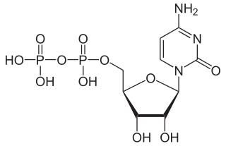シチジン二リン酸（CDP）の化学構造