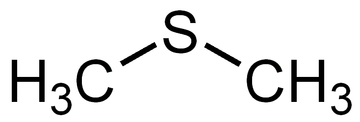ジメチルスルフィドの化学構造