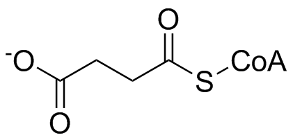 スクシニルCoAの化学構造