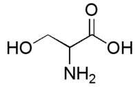 セリンの化学構造