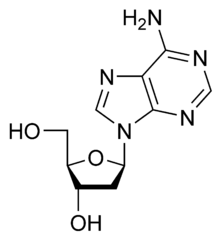 デオキシアデノシンの化学構造