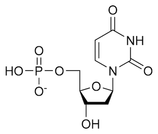 デオキシウリジン一リン酸（dUMP）の化学構造