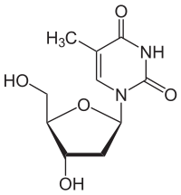 デオキシチミジンの化学構造