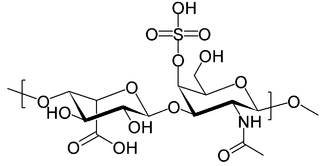 デルマタン硫酸（コンドロイチン硫酸B）の化学構造