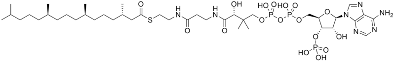 フィタノイルCoAの化学構造