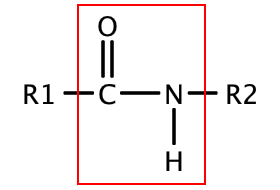 酸アミド結合（ペプチド結合）の化学構造