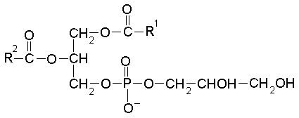 ホスファチジルグリセロールの化学構造
