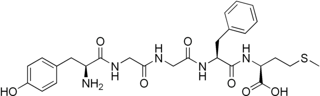 メチオニンエンケファリンの化学構造