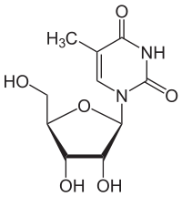 リボシルチミン（5-メチルウリジン）の化学構造
