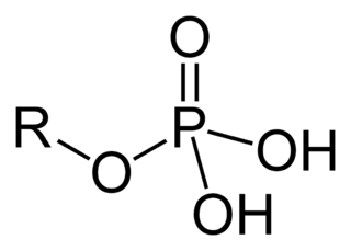 リン酸基の化学構造