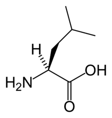  ロイシンの化学構造