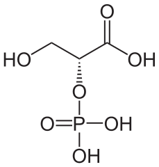 2-ホスホグリセリン酸の化学構造